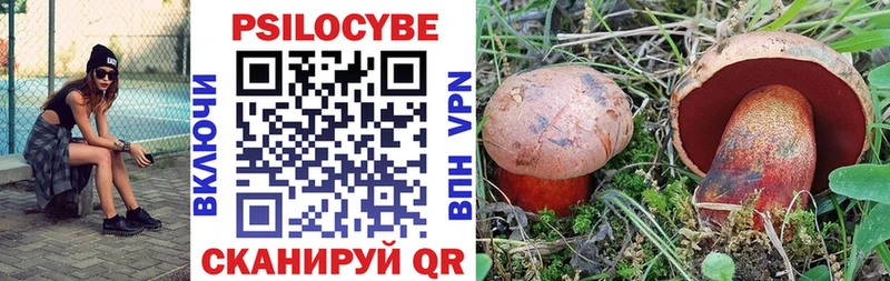 Галлюциногенные грибы Psilocybine cubensis  Лангепас 